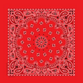 Domestic Red Paisley Bandanna